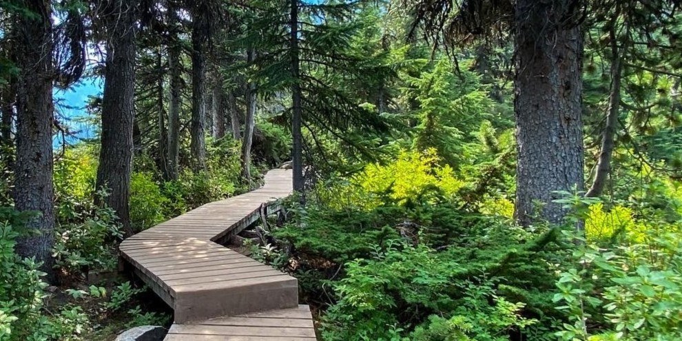 Wooden boardwalk path through an evergreen forest, at Joffre Lake.